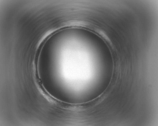 X0000082150936200701262305