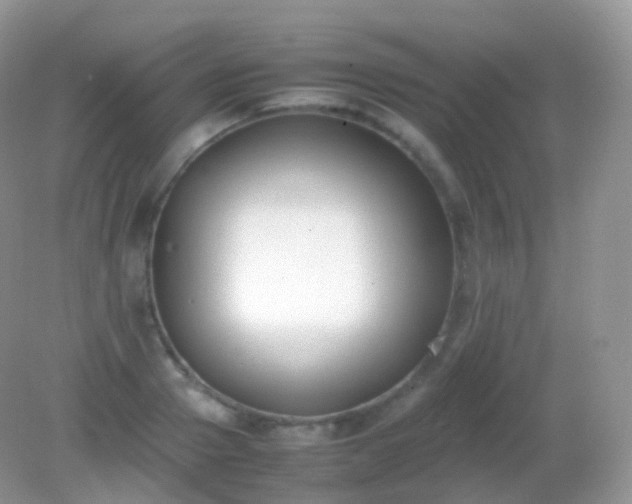 X0000082150937200701262305
