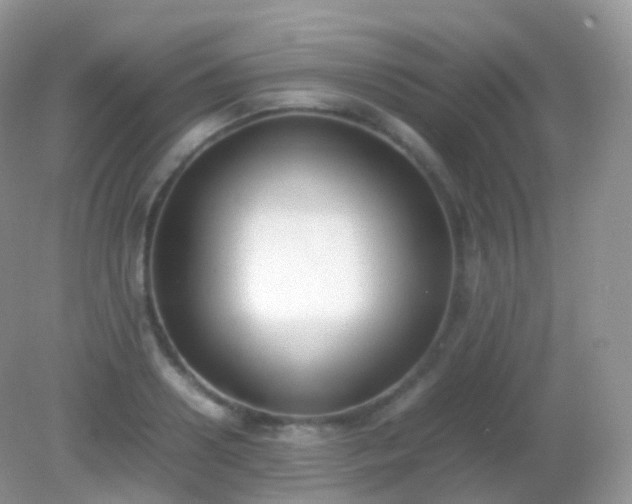 X0000082150938200701262305