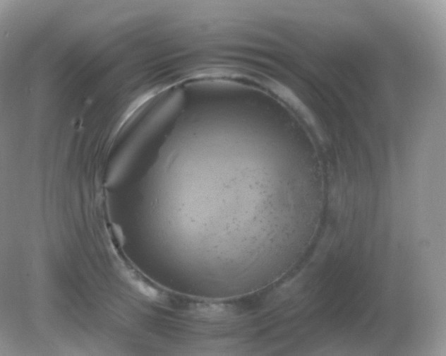X0000082150945200701262305