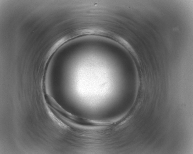 X0000082150946200701262305
