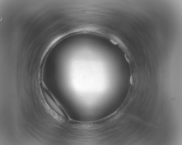 X0000082150948200701262305