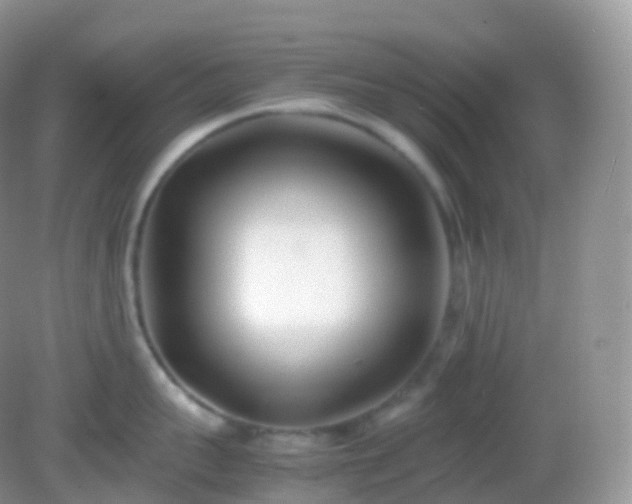 X0000082150959200701262305