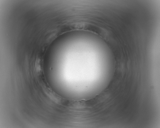 X0000082150962200701262304