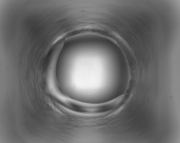 X0000082150969200701262304
