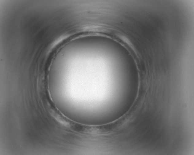 X0000082150971200701262304