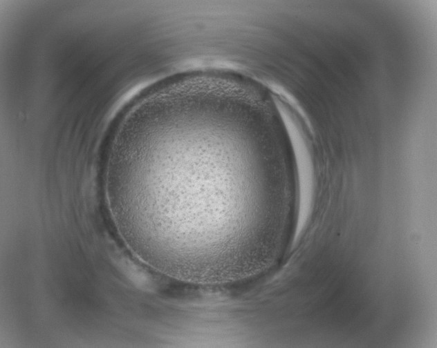 X0000082150975200701262304