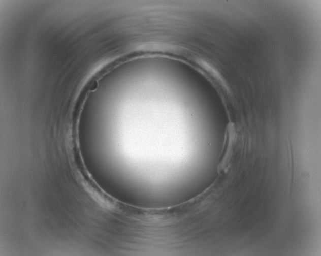 X0000082150976200701262304