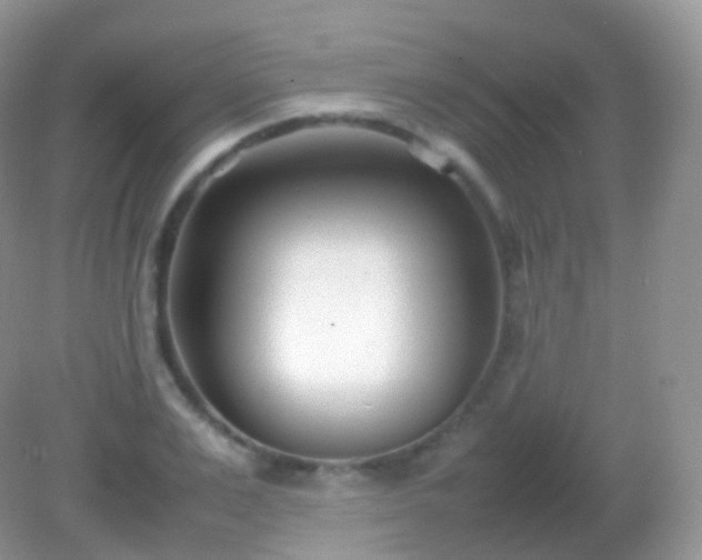X0000082150983200701262304