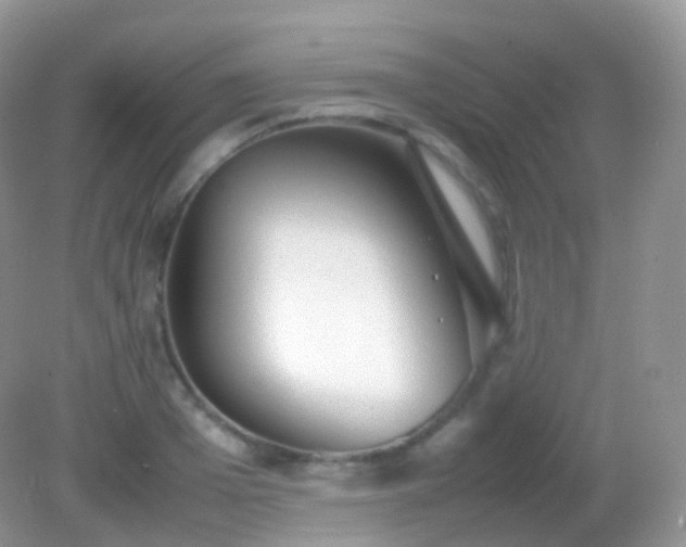 X0000082150985200701262304