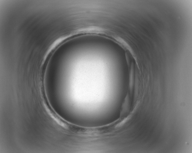 X0000082150989200701262304