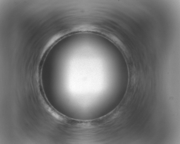 X0000082150990200701262304