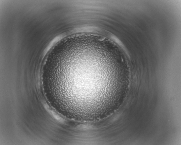 X0000082150994200701262304