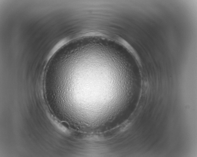 X0000082151002200701262303