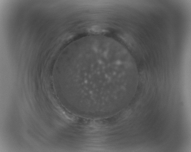 X0000082151009200701262303