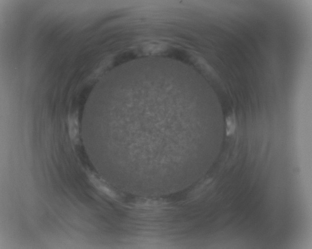X0000082151011200701262303