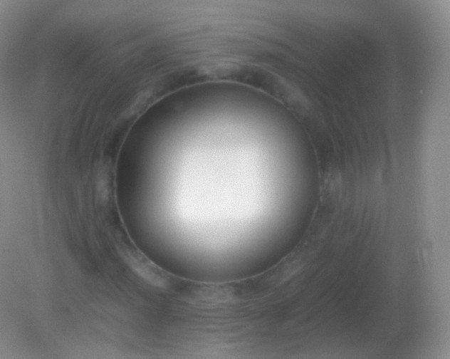 X0000082151012200701262303