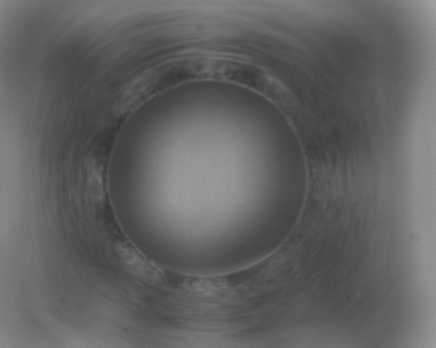 X0000082151013200701262303