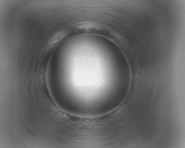 X0000082151014200701262303