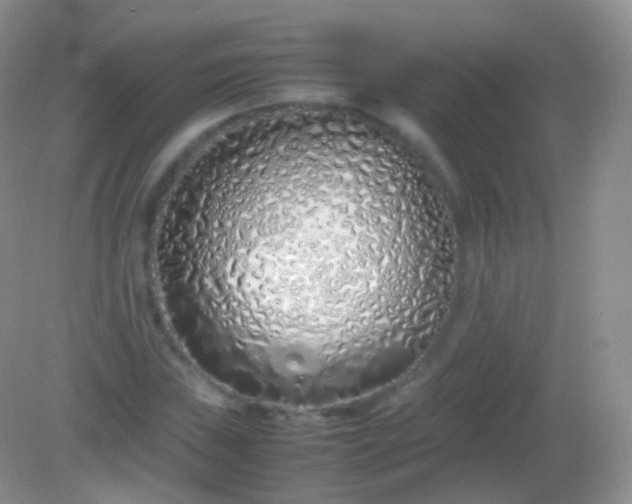 X0000082151019200701262303