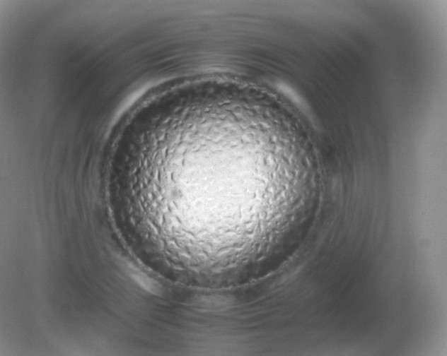 X0000082151023200701262303