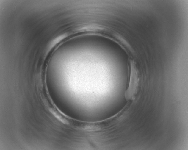 X0000082151026200701262303