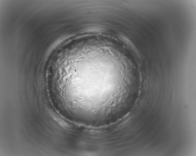 X0000082151027200701262303