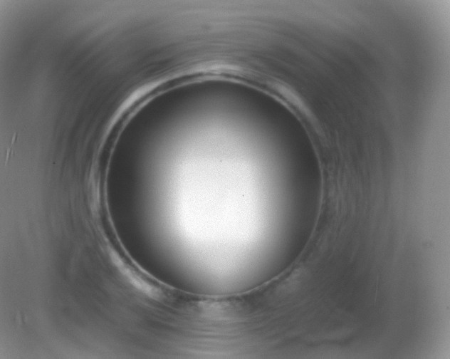 X0000082151032200701262303