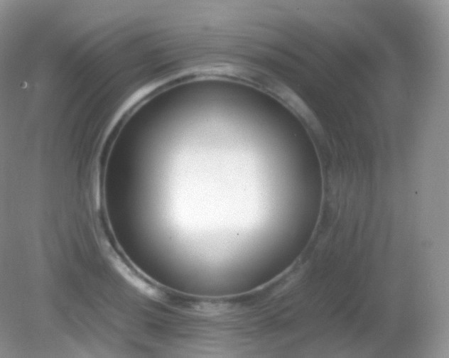 X0000082151036200701262303