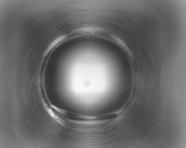 X0000082151042200701262303