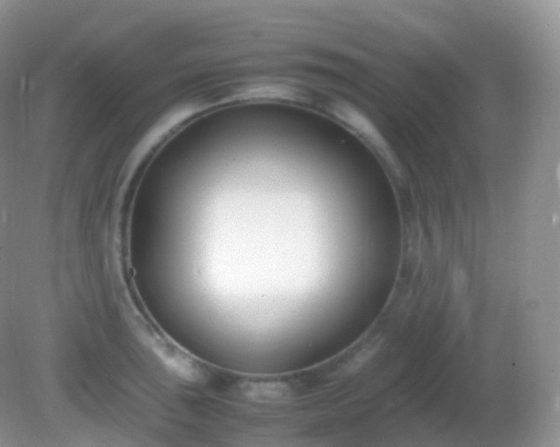 X0000082151043200701262303