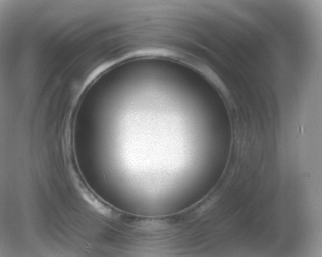 X0000082151044200701262303