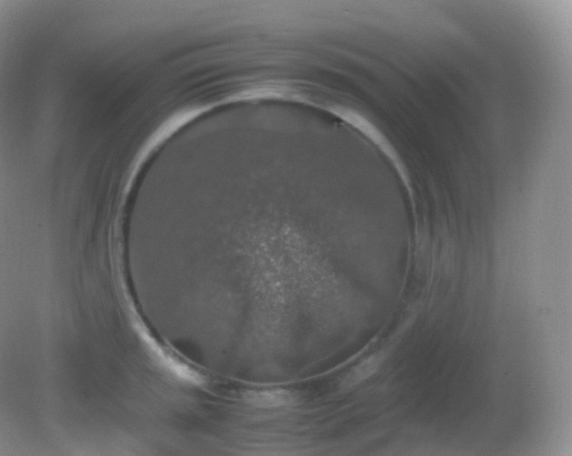 X0000082151045200701262303