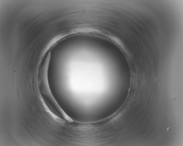 X0000082151046200701262303
