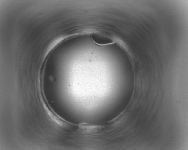 X0000082151047200701262303