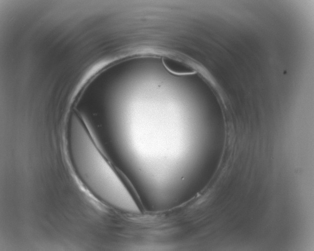 X0000082151048200701262303