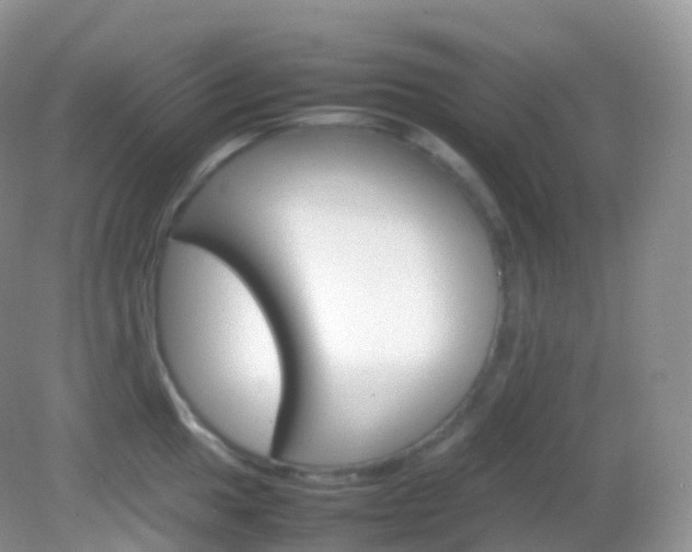 X0000082151049200701262303