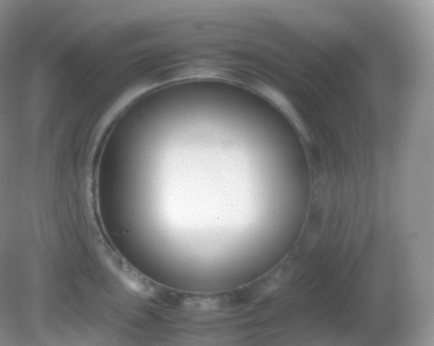 X0000082151051200701262303