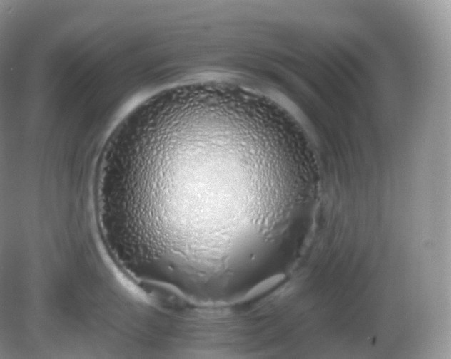 X0000082151055200701262303