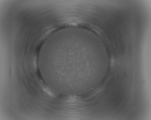 X0000082151060200701262302