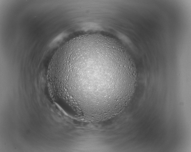 X0000082151063200701262302