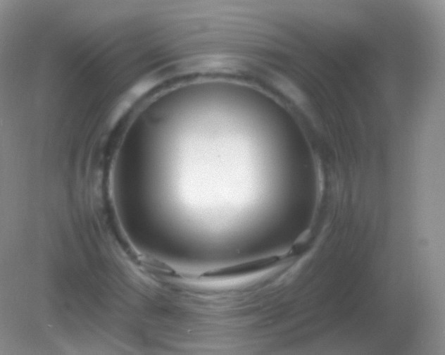 X0000082151066200701262302