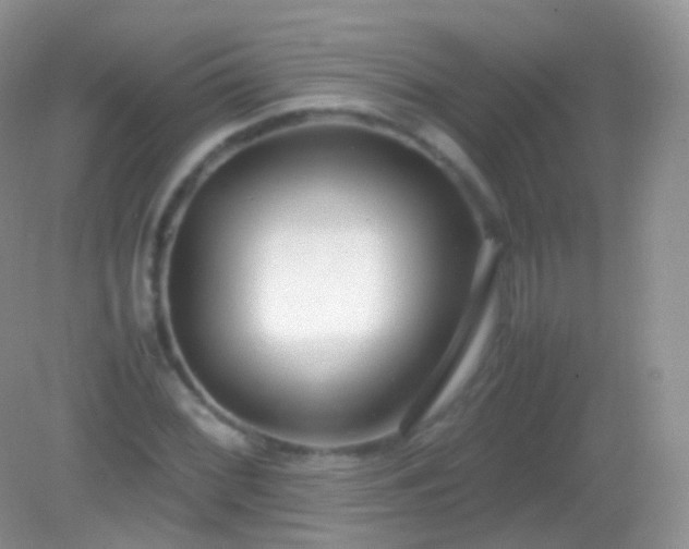 X0000082151068200701262302