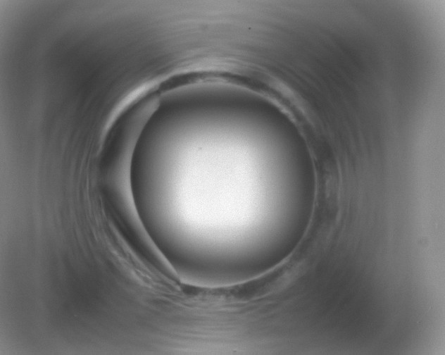 X0000082151069200701262302