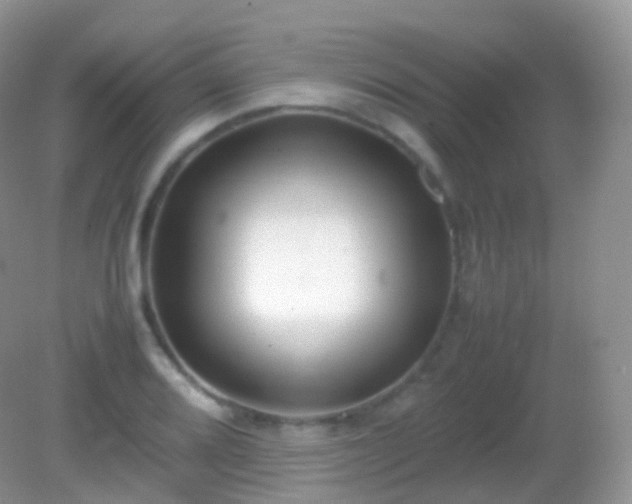 X0000082151080200701262302
