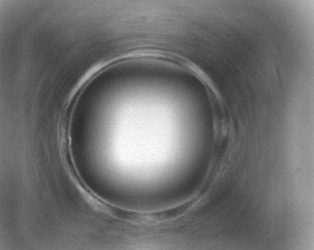 X0000082151101200701262302