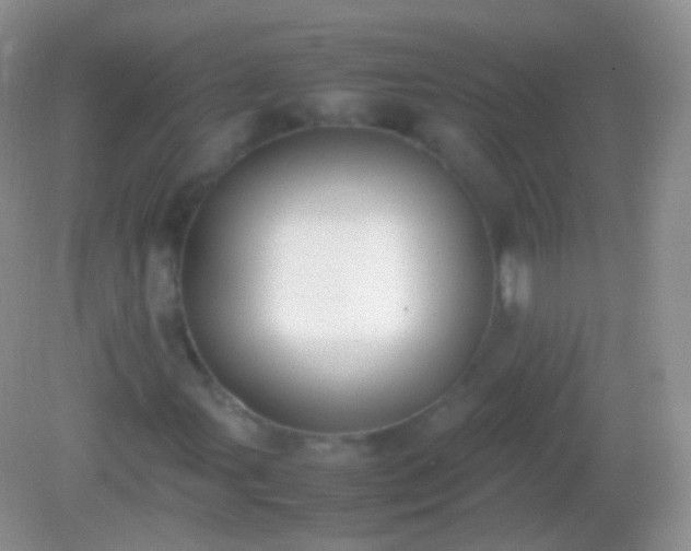 X0000082151107200701262301