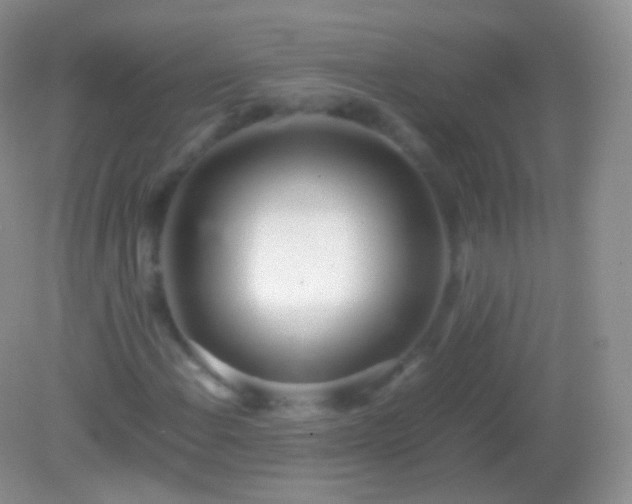 X0000082151108200701262301