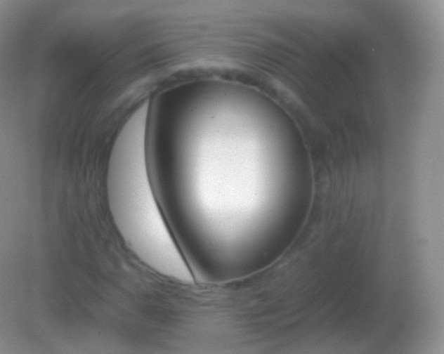 X0000082151110200701262301