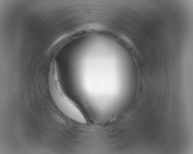 X0000082151112200701262301